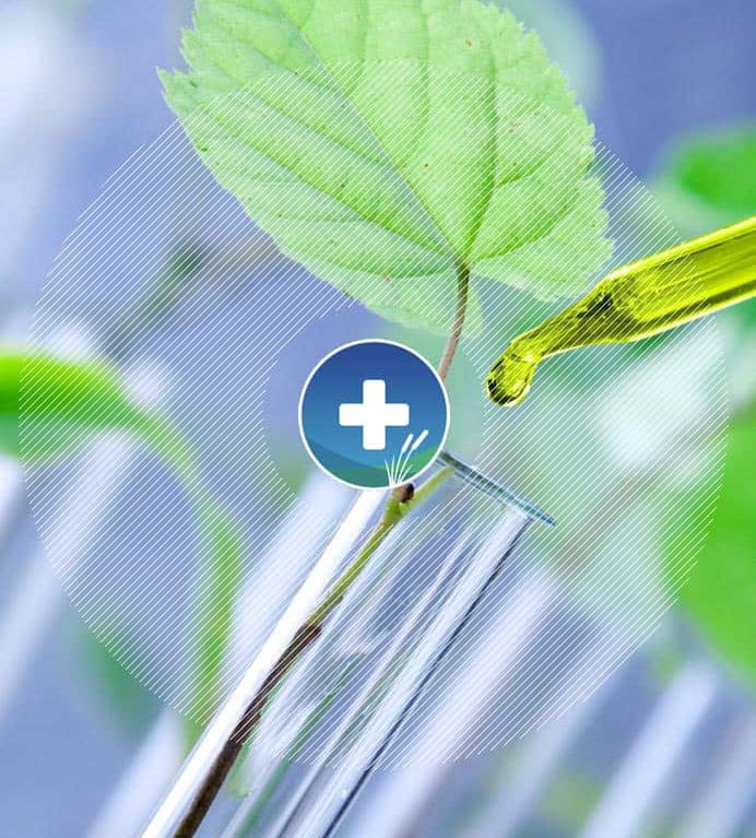 LATA-Therapeutic-Alternatives-Medicine LATA-Therapeutic-Alternatives-Medicine