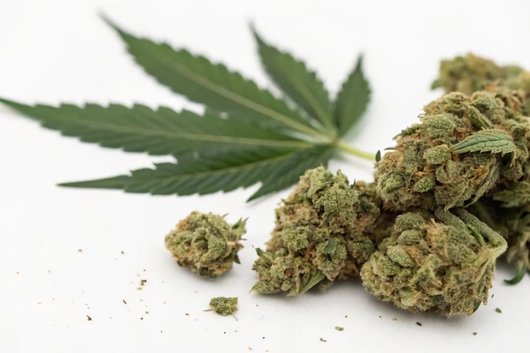 available-forms-cannabis-flower available-forms-cannabis-flower