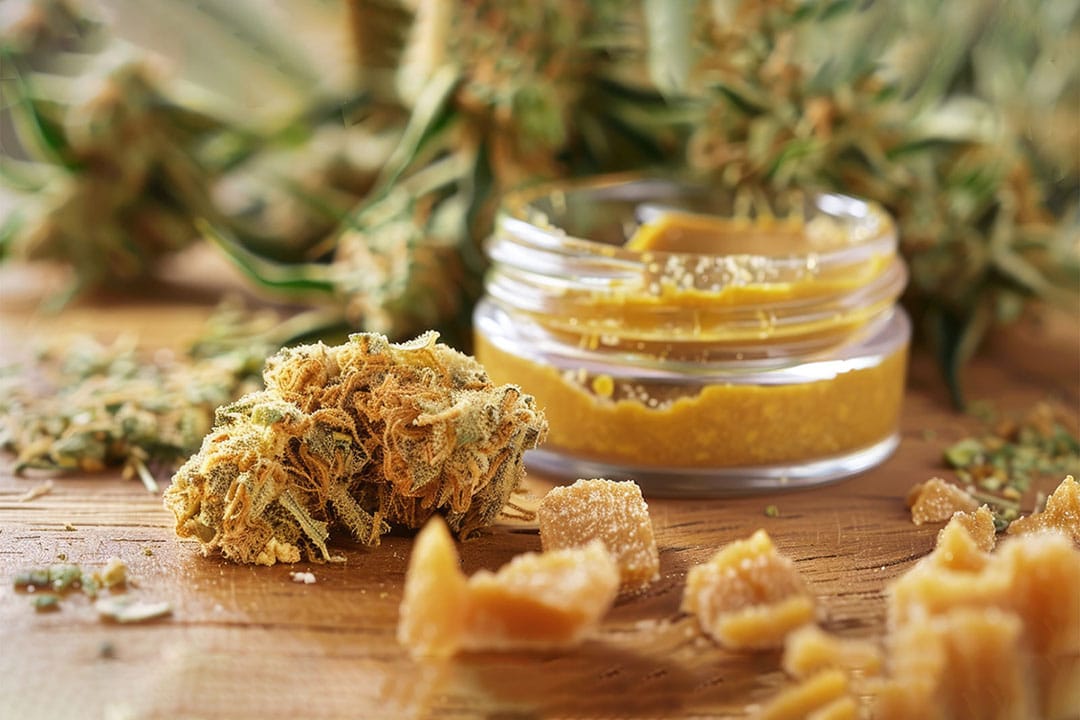 cannabis-extracts-concentrates cannabis-extracts-concentrates