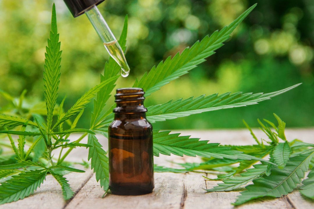 cannabis-tincture cannabis-tincture