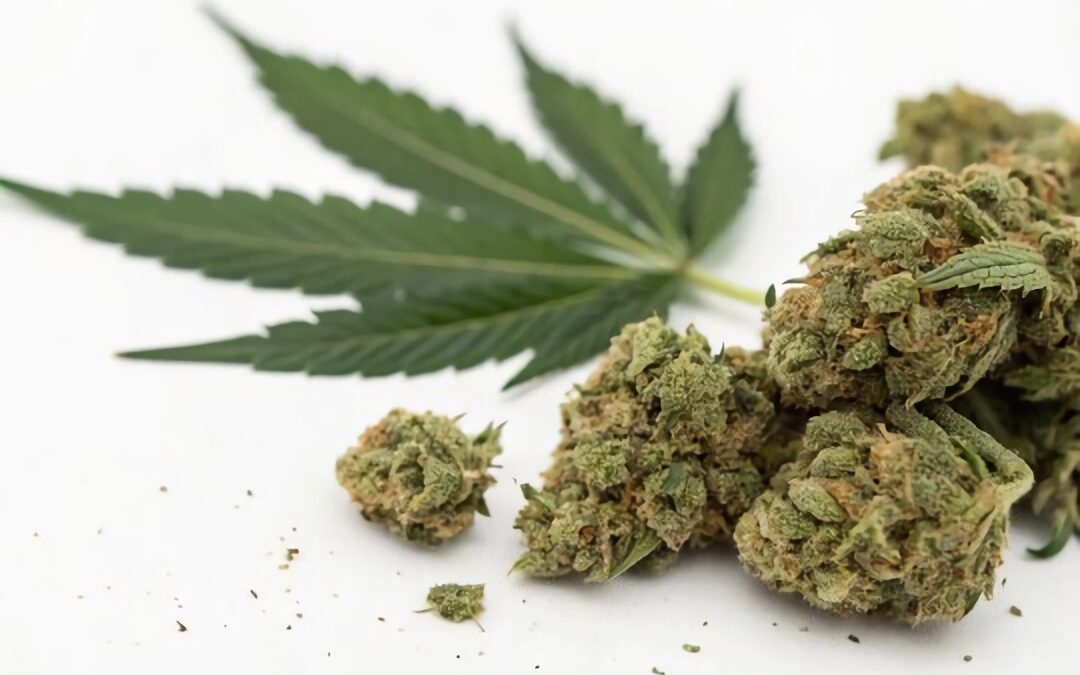 Louisiana Lauches Medical Marijuana After Years of Waiting